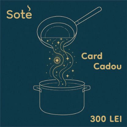 Card cadou 300 lei -voucher online
