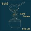 Card cadou 500 lei -voucher
