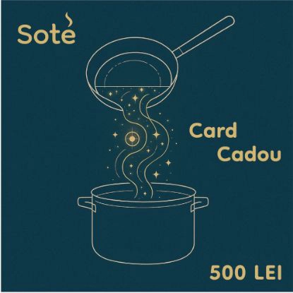 Card cadou 500 lei -voucher